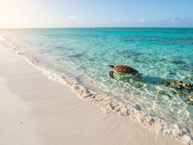 Где найти голубую воду и белый песок: лучшие пляжи мира для идеального отдыха