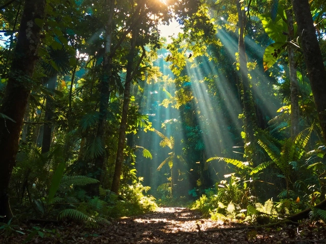 Почему в тропиках теплее, чем на Северном полюсе?