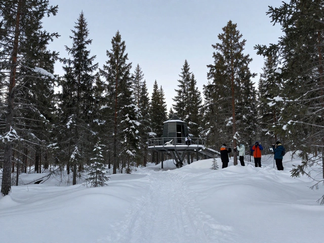 В чем цель заповедников: зачем они существуют и почему это важно для природы и людей