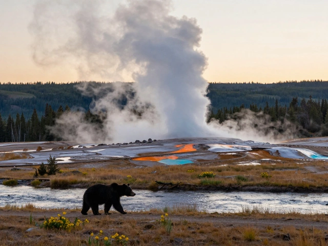 Самый известный заповедник в мире: где находятся самые уникальные природные сокровища
